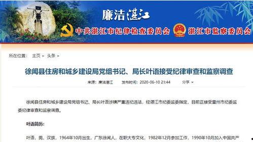 湛江最新爆料,揭秘神秘事件背后的真相